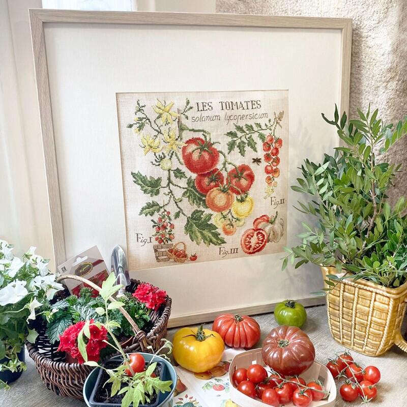 "Etude aux Tomates" (トマトのエチュード) 壁掛け 野菜 シリーズ VERONIQUE ENGINGER(ヴェロニク・アンジャンジェ)デザイン クロスステッチキット