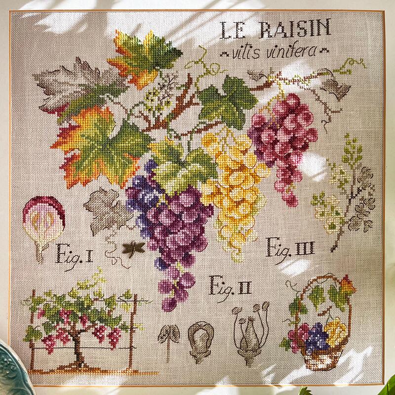 "Étude aux Raisins" (ブドウの研究) 壁掛け 果物 シリーズ VERONIQUE ENGINGER(ヴェロニク・アンジャンジェ)デザイン クロスステッチキット