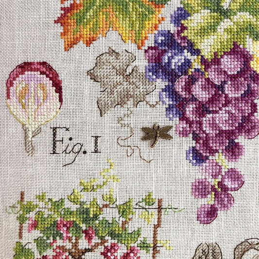 “Étude aux Raisins” (Study of Grapes) Wall Hanging • Fruit Series Designed by Véronique Enginger Cross Stitch Kit
