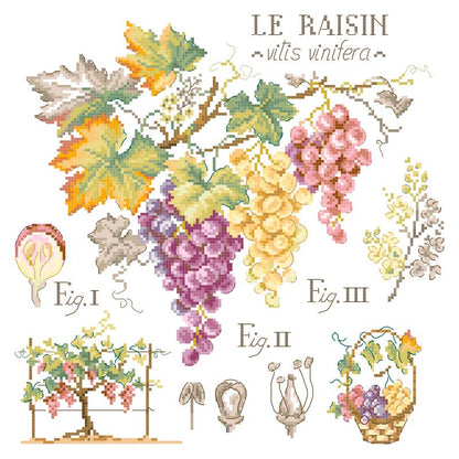 "Étude aux Raisins" (ブドウの研究) 壁掛け 果物 シリーズ VERONIQUE ENGINGER(ヴェロニク・アンジャンジェ)デザイン クロスステッチキット
