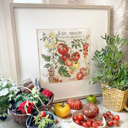 "Etude aux Tomates" (トマトのエチュード) 壁掛け 野菜 シリーズ VERONIQUE ENGINGER(ヴェロニク・アンジャンジェ)デザイン クロスステッチキット