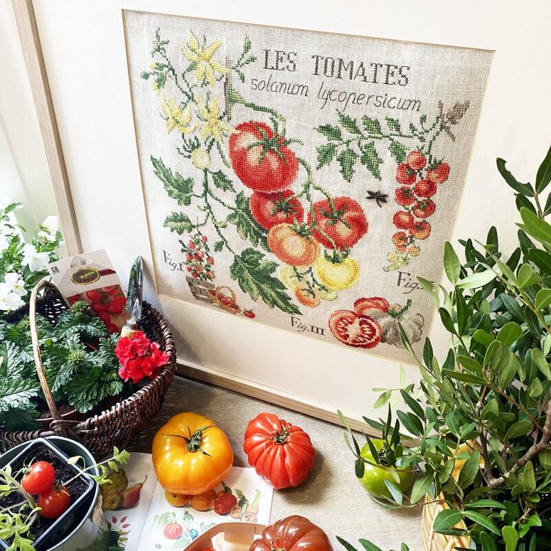 "Etude aux Tomates" (トマトのエチュード) 壁掛け 野菜 シリーズ VERONIQUE ENGINGER(ヴェロニク・アンジャンジェ)デザイン クロスステッチキット