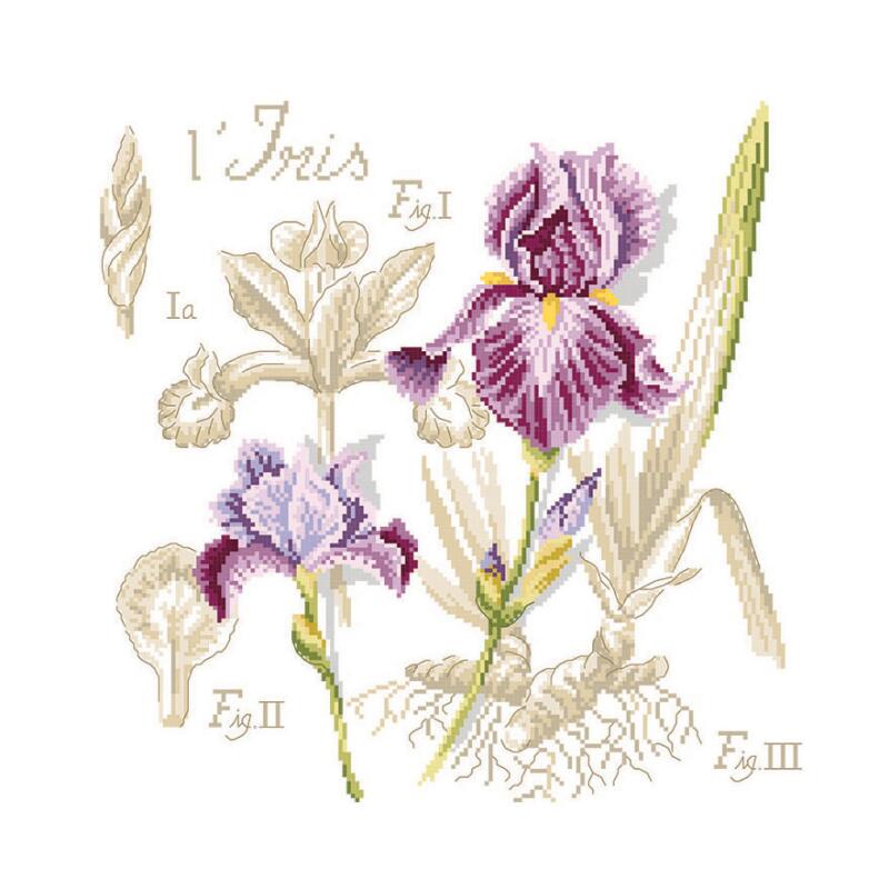 "Étude à l'Iris" (アイリスの研究) 壁掛け お花 シリーズ VERONIQUE ENGINGER(ヴェロニク・アンジャンジェ)デザイン クロスステッチキット