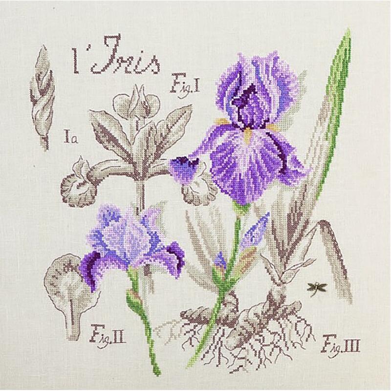 "Étude à l'Iris" (アイリスの研究) 壁掛け お花 シリーズ VERONIQUE ENGINGER(ヴェロニク・アンジャンジェ)デザイン クロスステッチキット