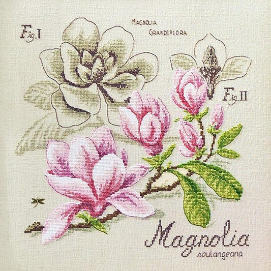 “Étude à Magnolia” (Study of Magnolia) Wall Hanging • Floral Series Designed by Véronique Enginger Cross Stitch Kit
