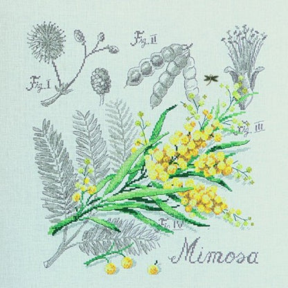 VERONIQUE ENGINGER (ヴェロニク・アンジャンジェ) クロスステッチキット 壁掛け お花 シリーズ "Etude au Mimosa" (ミモザのエチュード)