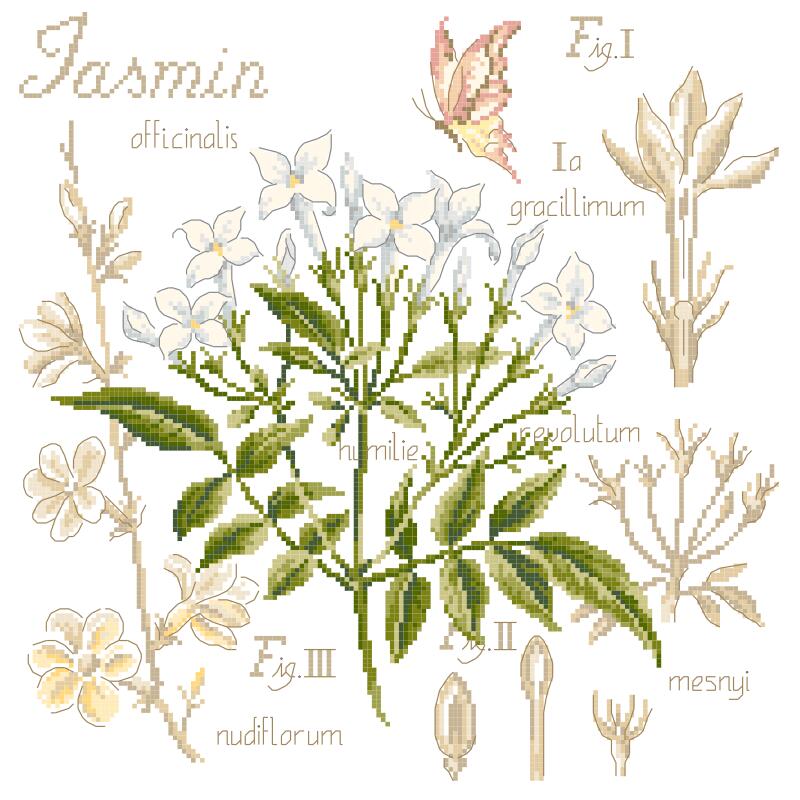 "Étude au jasmin" (ジャスミンの研究) 壁掛け お花 シリーズ VERONIQUE ENGINGER(ヴェロニク・アンジャンジェ)デザイン クロスステッチキット